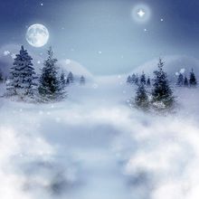 winter_landscape_night